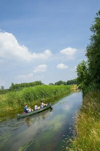 Гостиница Pullman Eindhoven Cocagne