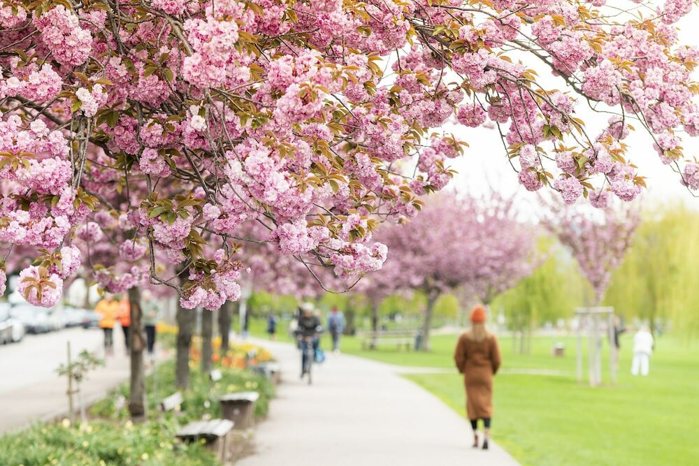 Фото Hilton Heidelberg