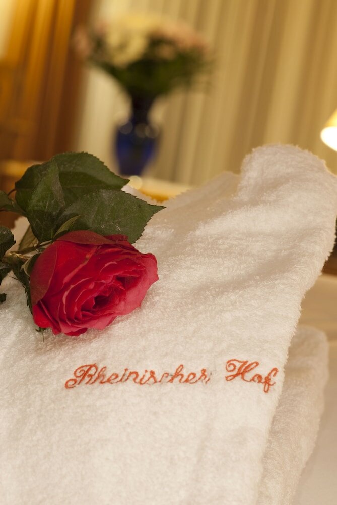 Фото Hotel Rheinischer Hof