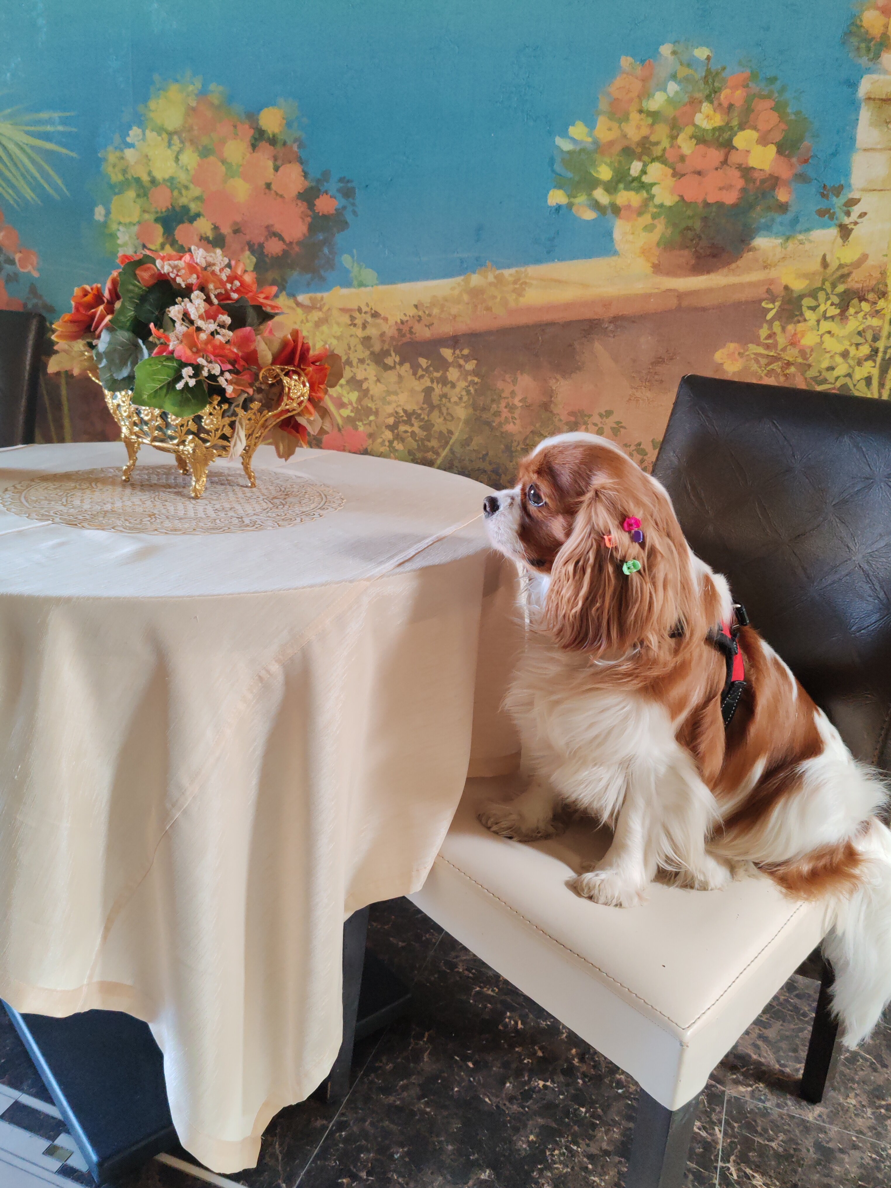 Фото Империал