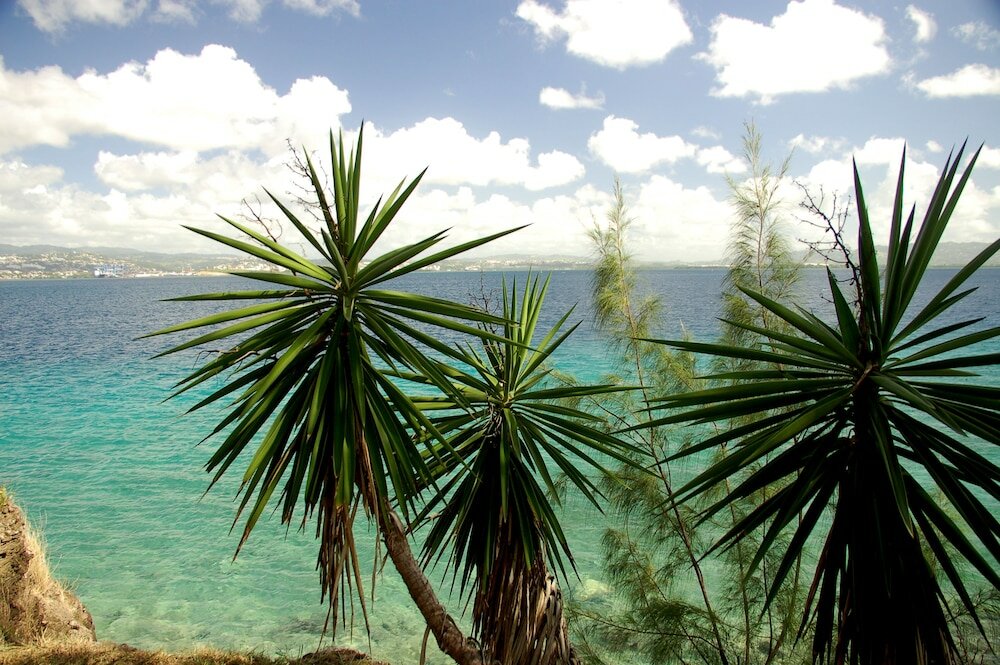 Фото Résidence La Marina