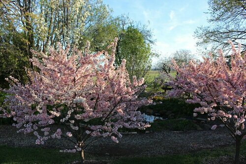 Внешний вид отеля Ivy on Glenelg в Кэмпбеллтауне, фото 4