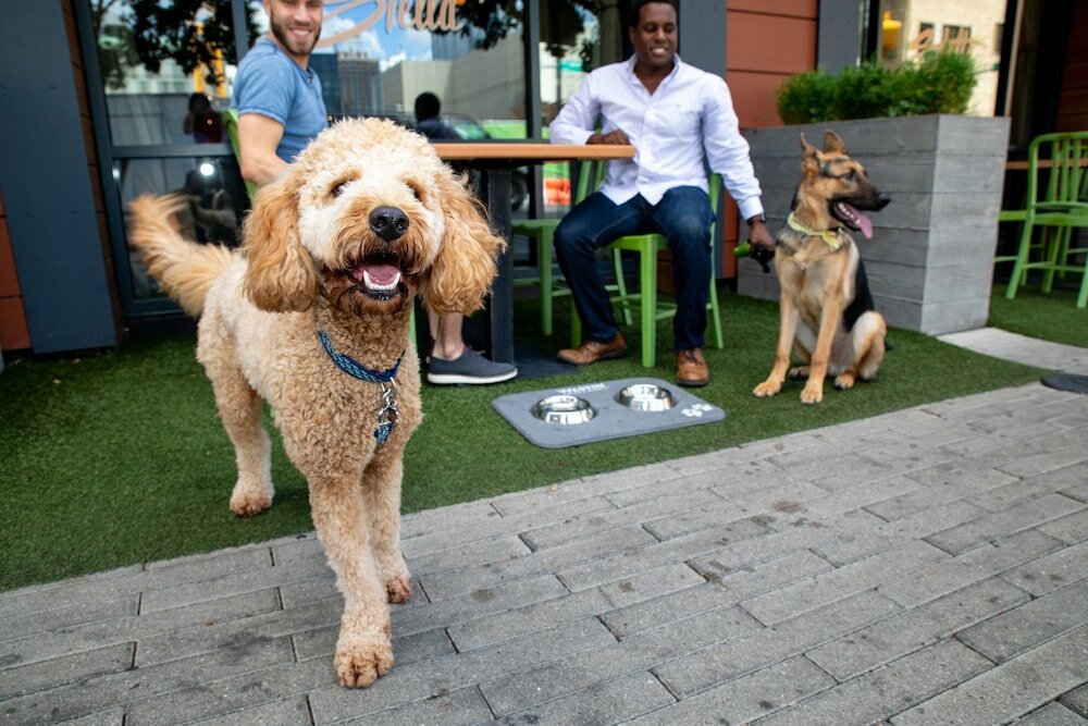 Фото The Westin Austin Downtown