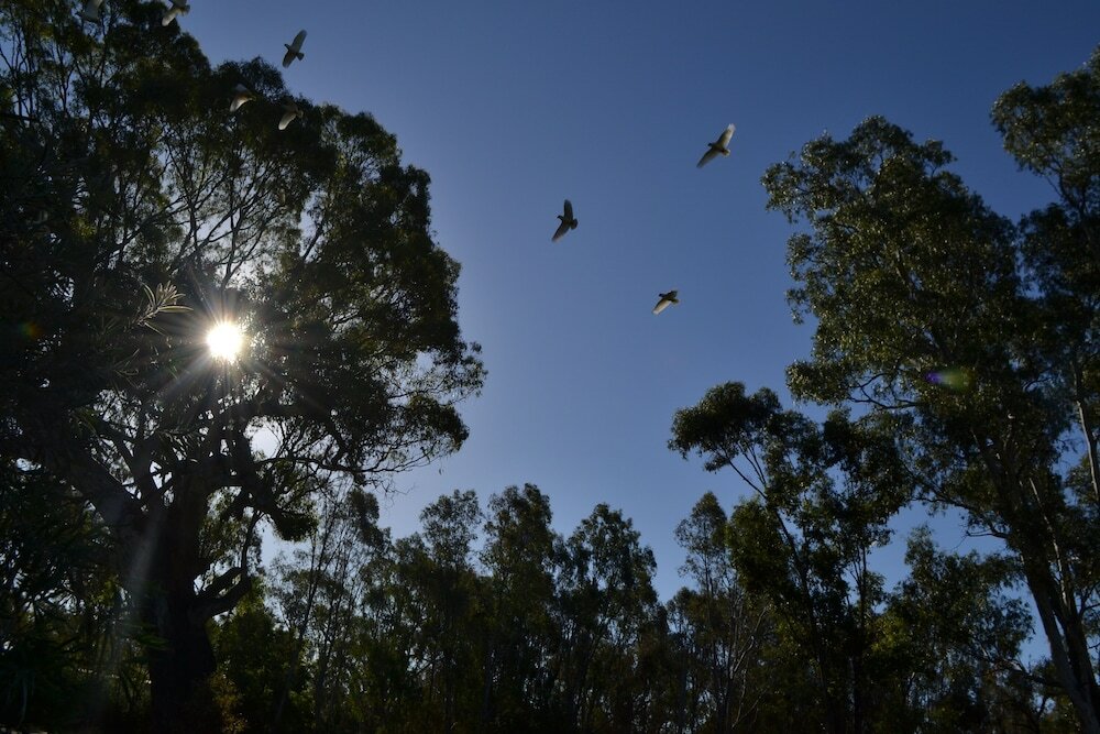 Фото Seymour Motel