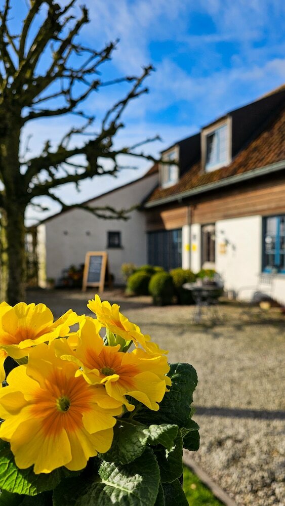 Фото Boutique B&b Droomkerke