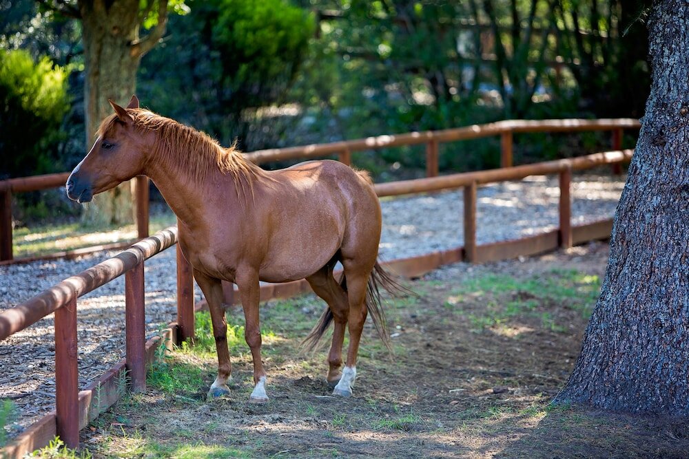 Фото Fairmont Resort & SPA Blue Mountains, MGallery by Sofitel