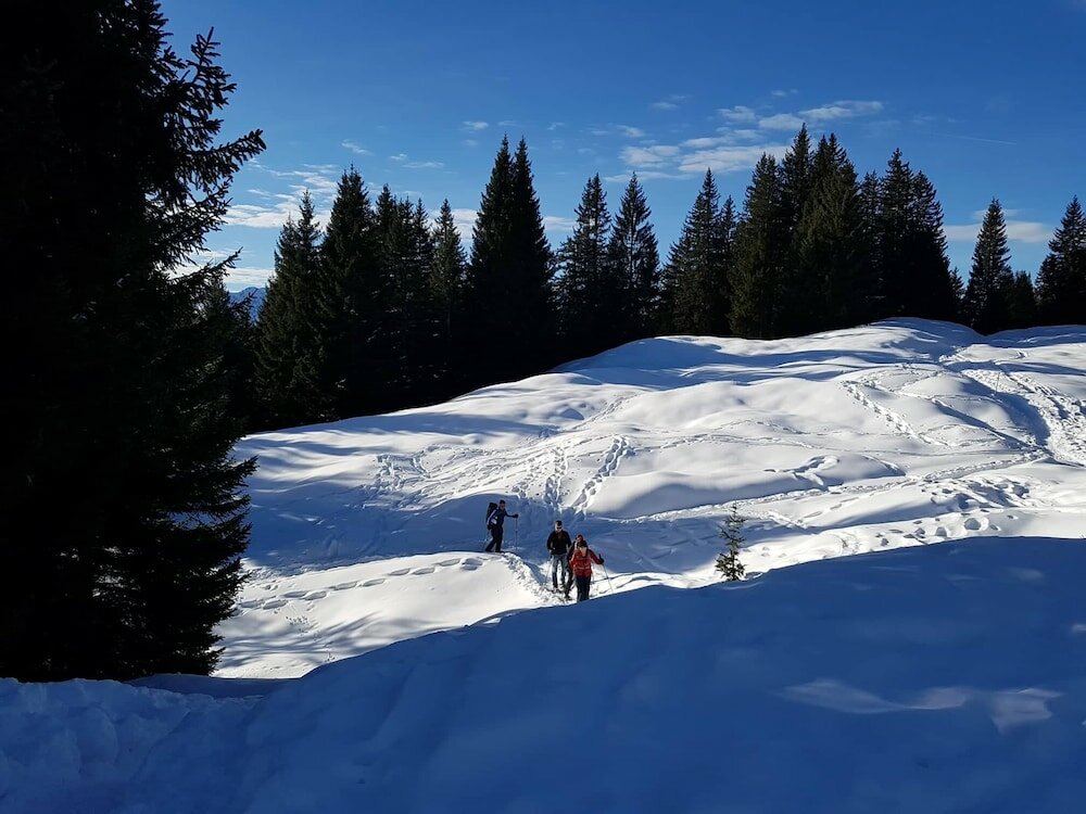 Фото Sporthotel Chalets