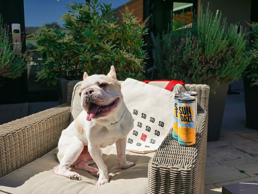 Фото The Nest Hotel Palo Alto