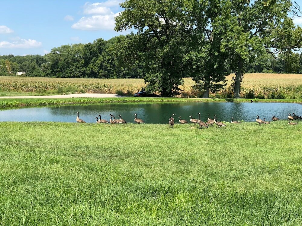 Фото Baymont by Wyndham Washington