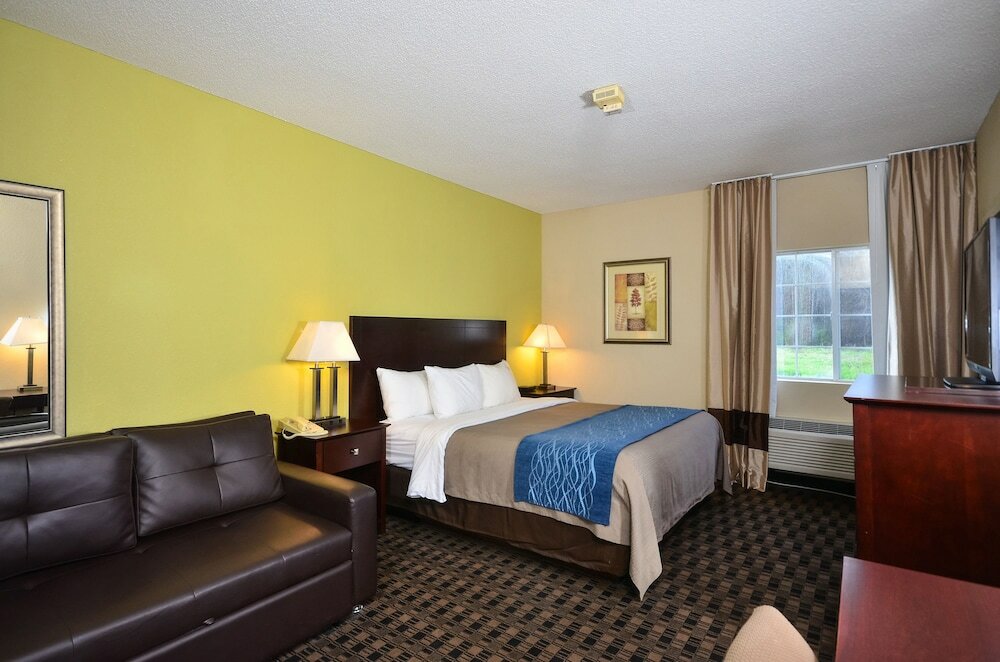 Фото Comfort Inn Decatur Priceville