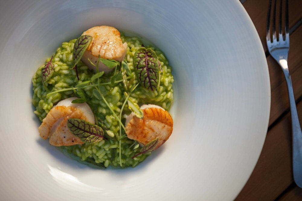 Фото West Palm Beach Marriott