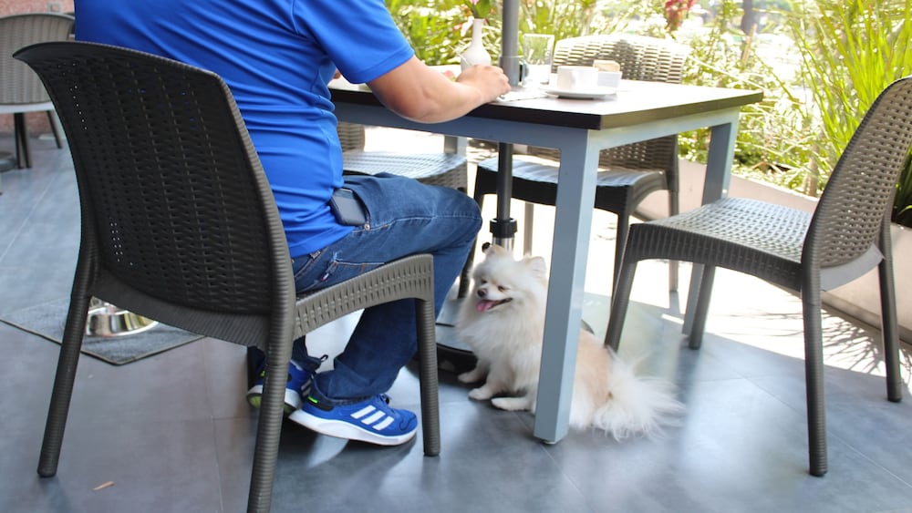 Фото Holiday Inn Mexico Dali Airport, an Ihg Hotel