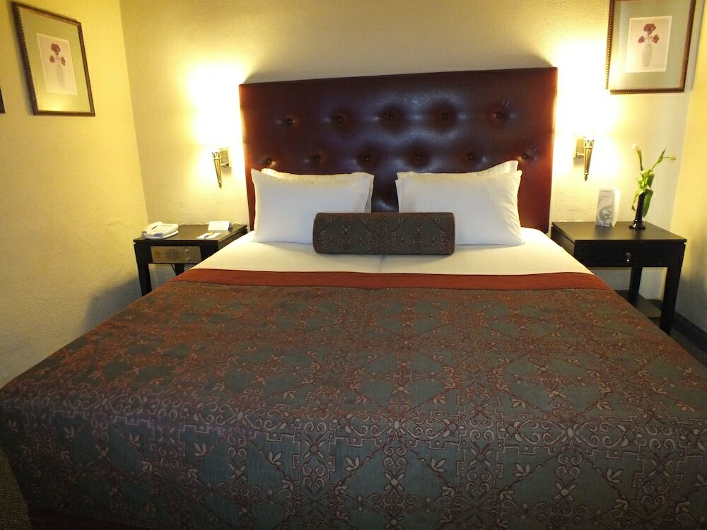 Фото Prima Kings