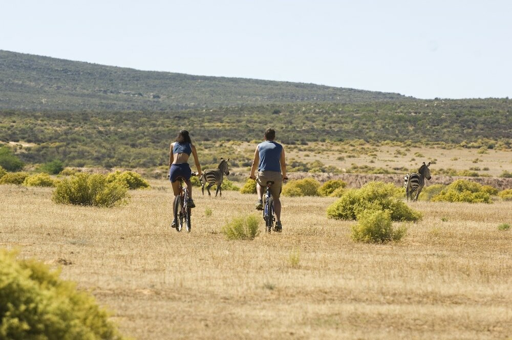 Фото Bushmans Kloof Wilderness Reserve