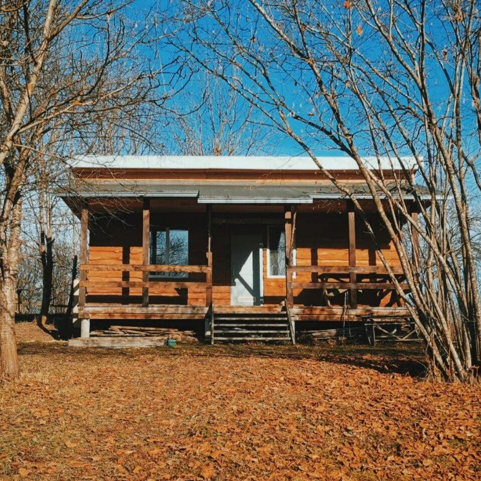 Фото Грушевая вода