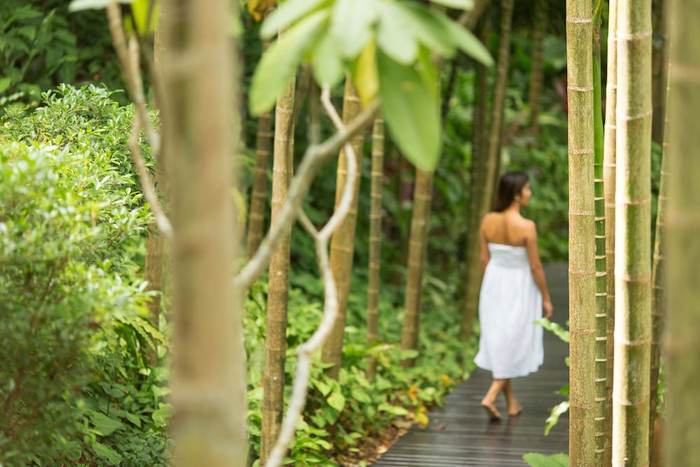 Фото Four Seasons Resort Koh Samui