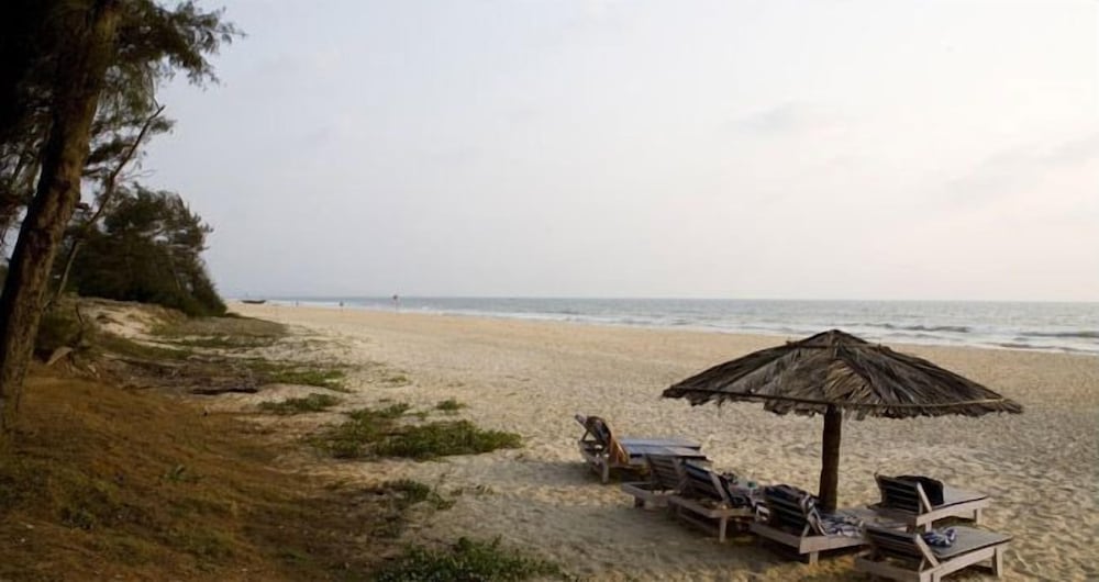 Фото Varca Palms Beach Resort