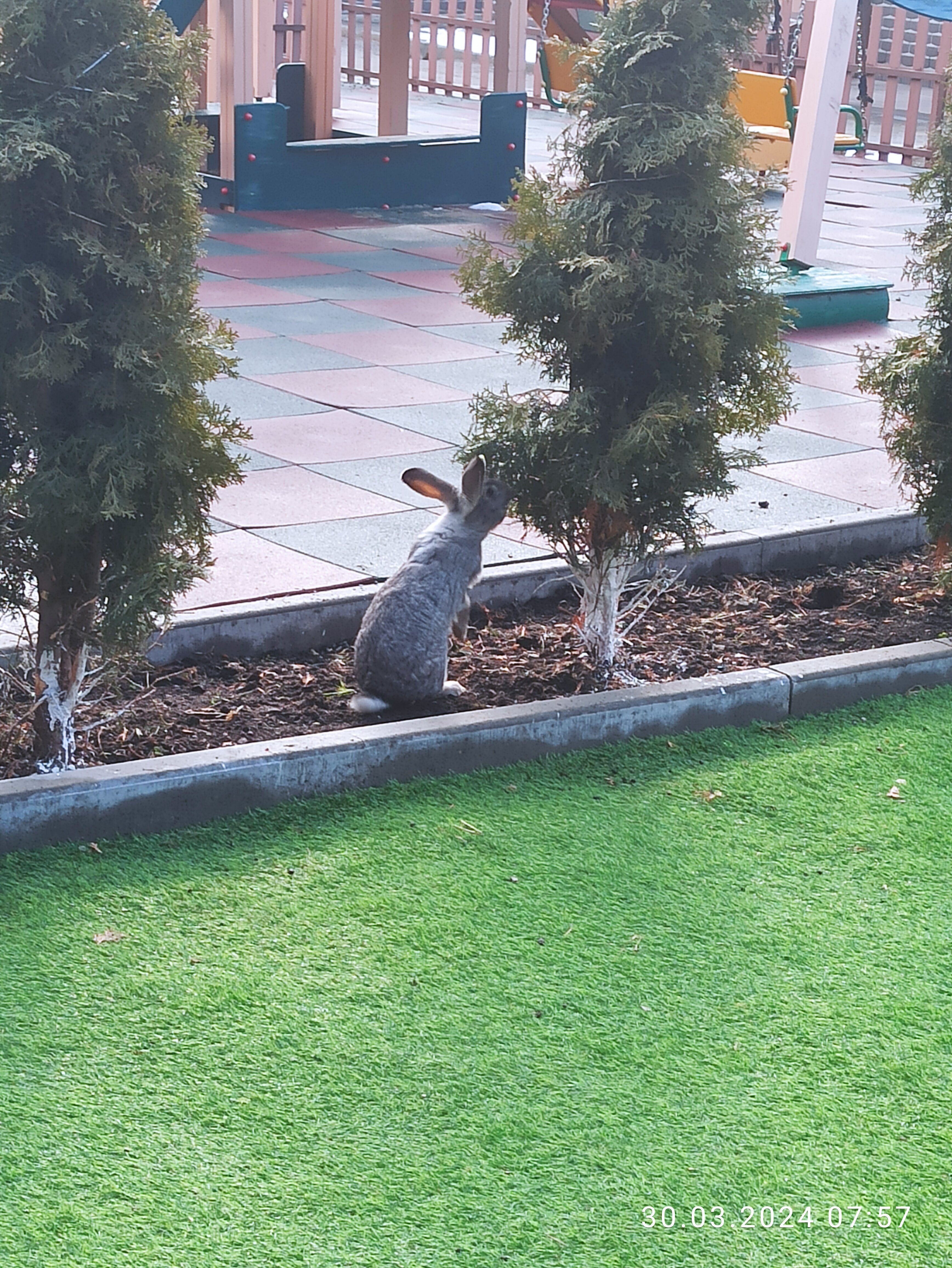 Фото Софийские вершины