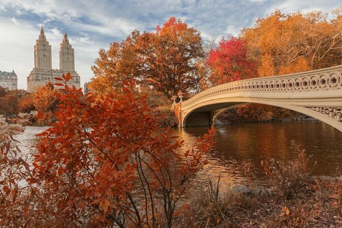 Гостиница The Ritz-Carlton New York, Central Park в Нью-Йорке