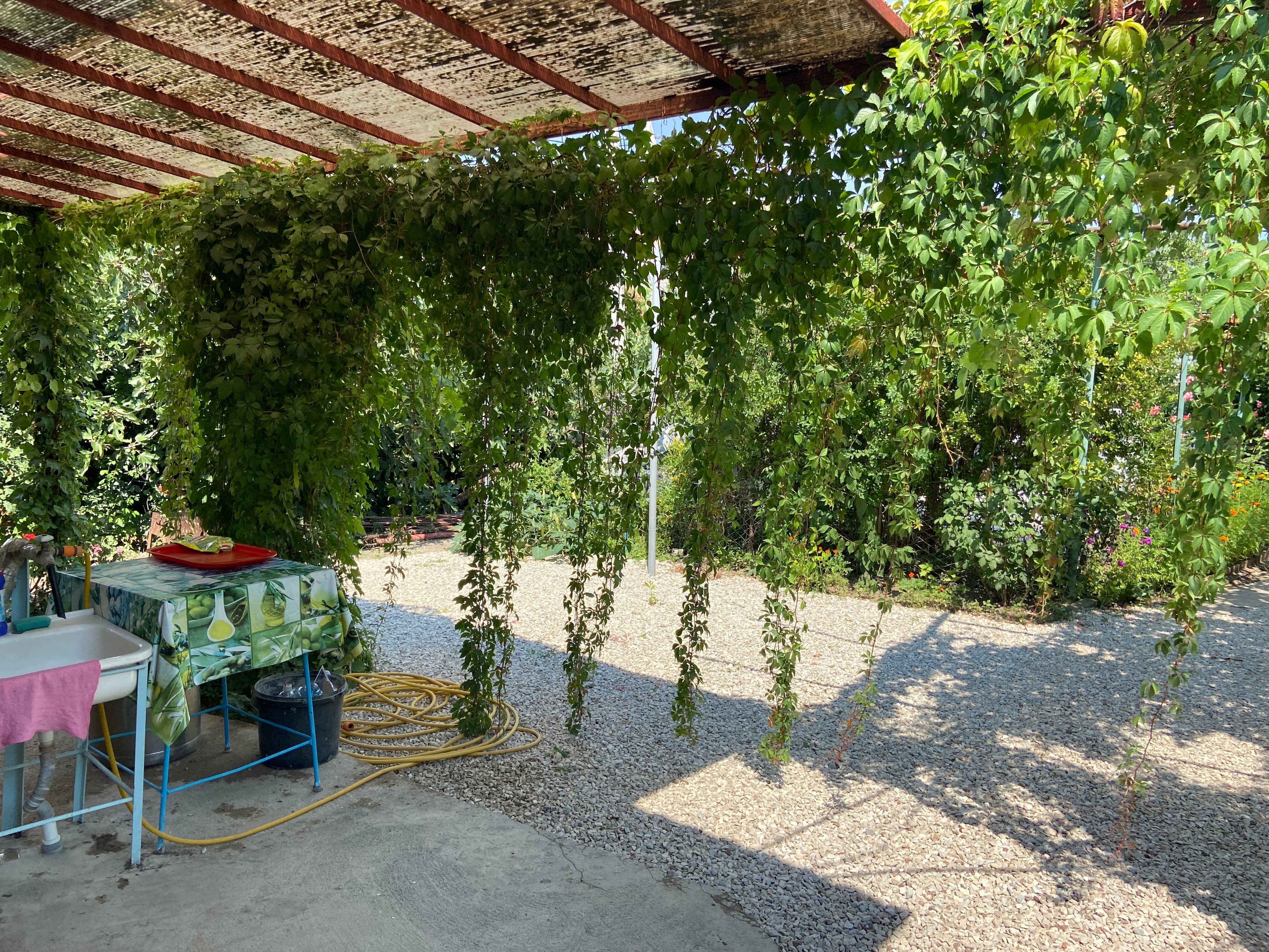 Фото На Шоссейной