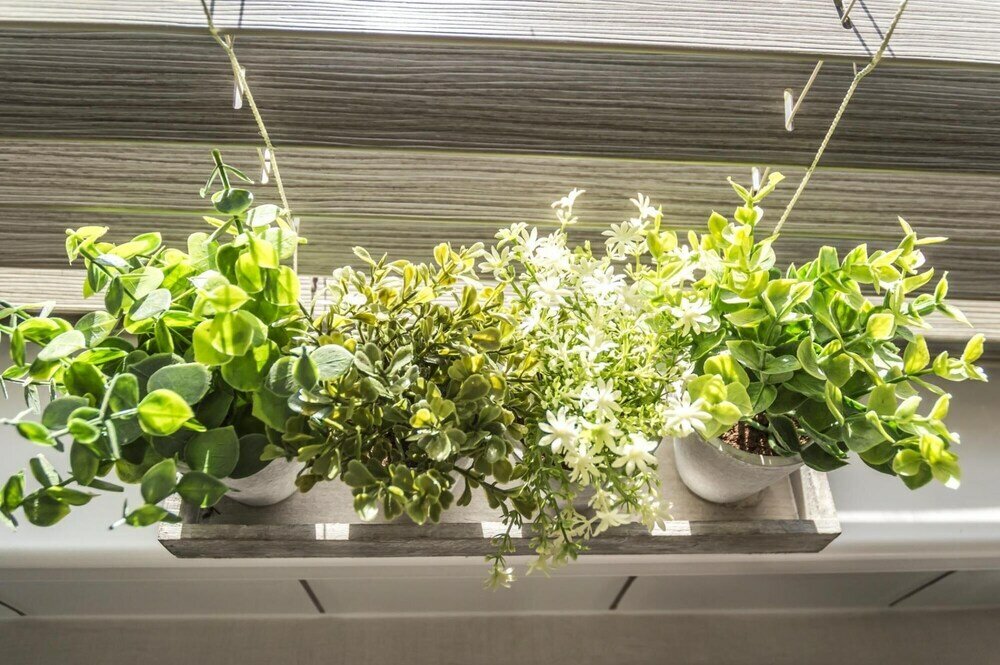 Фото Ivydene - 3 Bedroom Holiday Home - Tenby