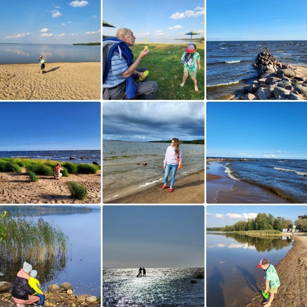 Фото Домик в Разливе