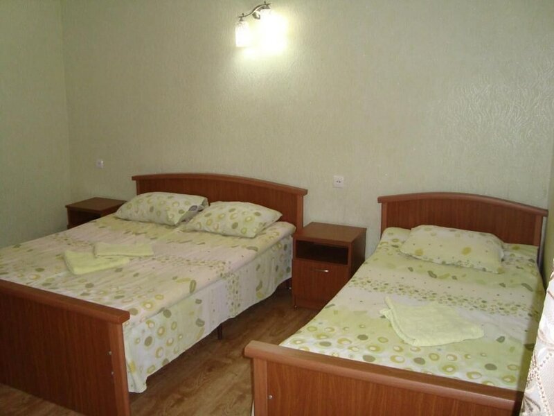 Гостиница Chicho Guesthouse в Боржоми