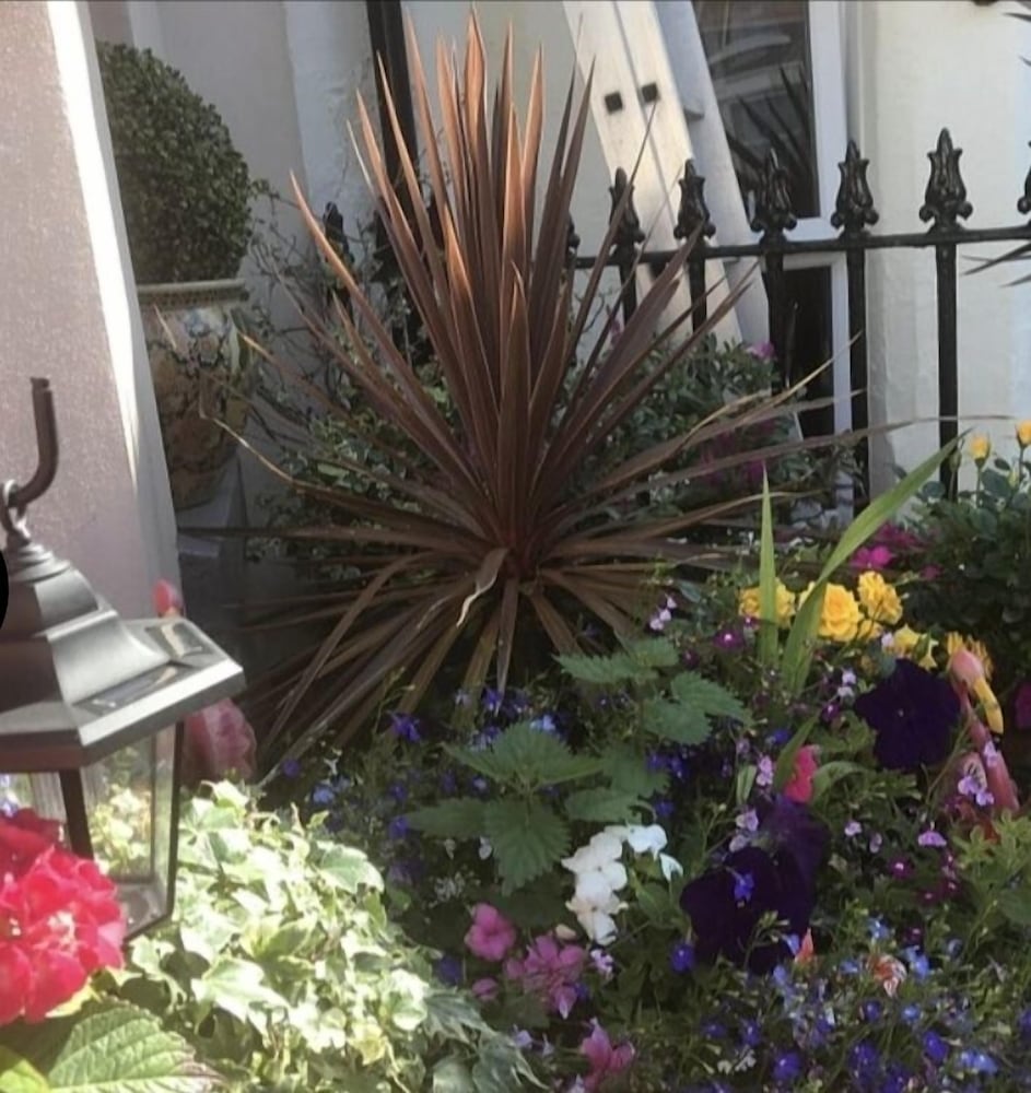 Фото Windsor House Hotel