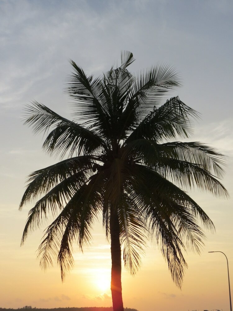 Фото Smera Grand