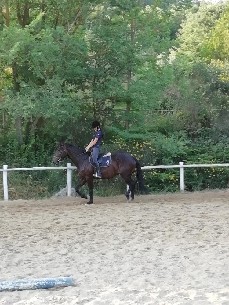 Фото Casale Sant'Elia