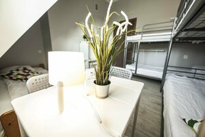 Гостиница Bi-Pi Hostel