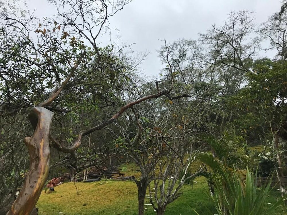 Фото 107287882912