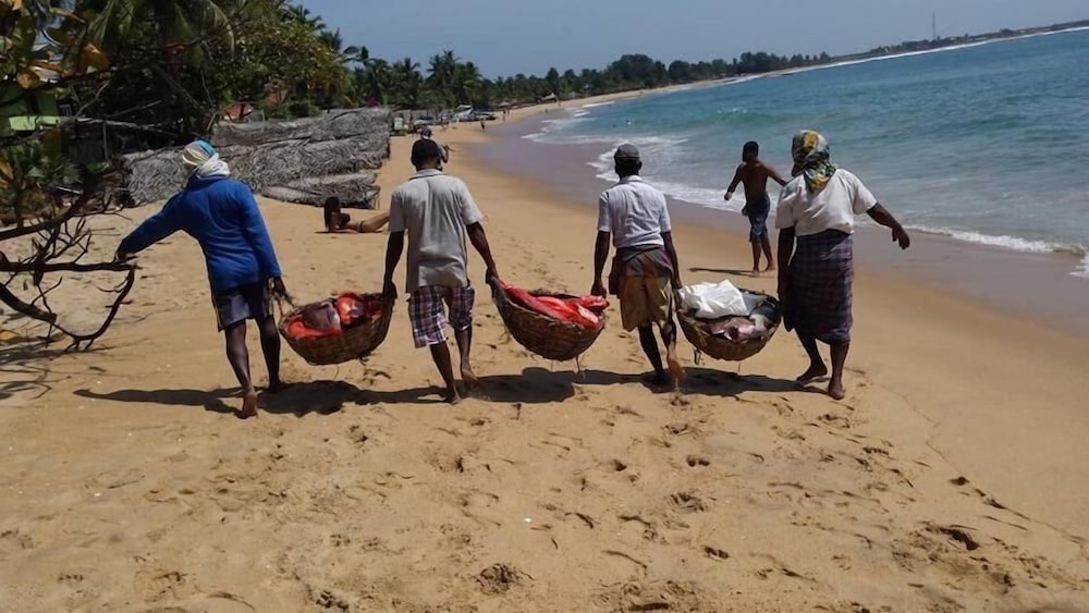 Фото Resort Maya Beach