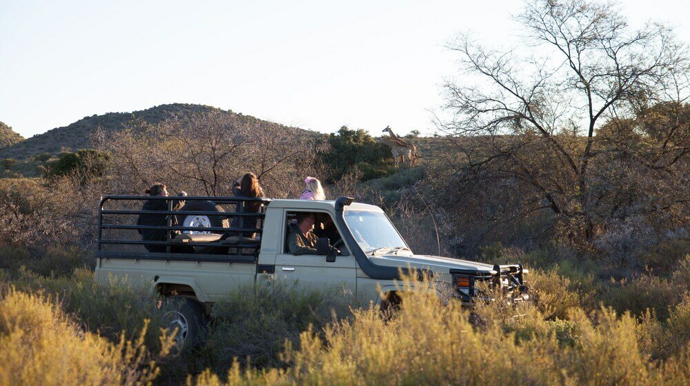 Фото Rooiberg Safaris