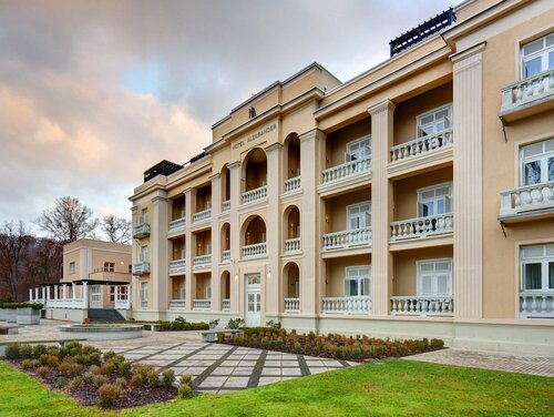 Гостиница Hotel Aleksander Medical & SPA
