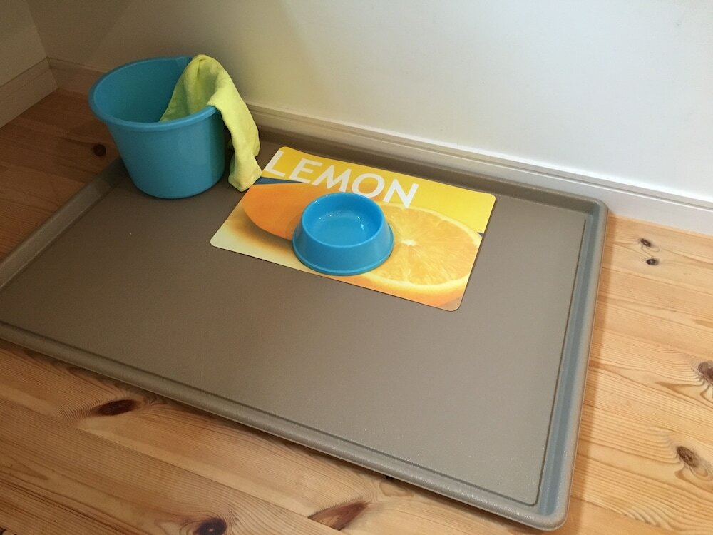 Фото Wistaria Karuizawa