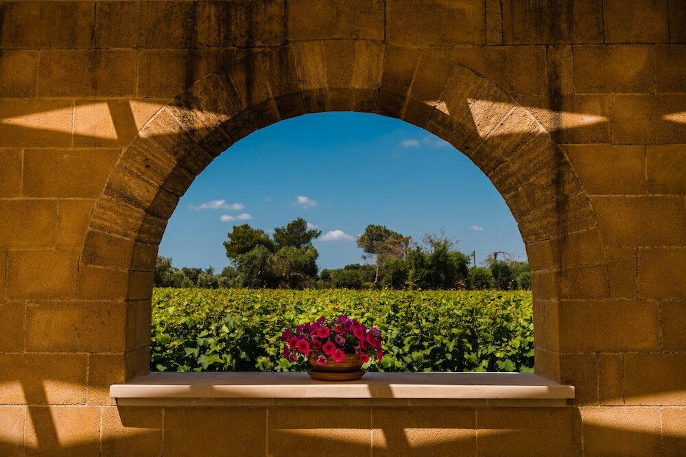 Фото Tenuta Flora Maria