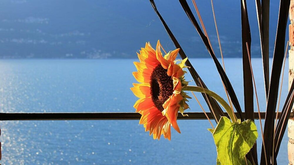 Фото Villa Marina - Como Lake