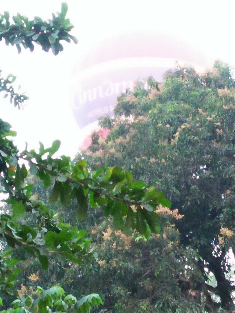 Фото Shan Inn Dambulla