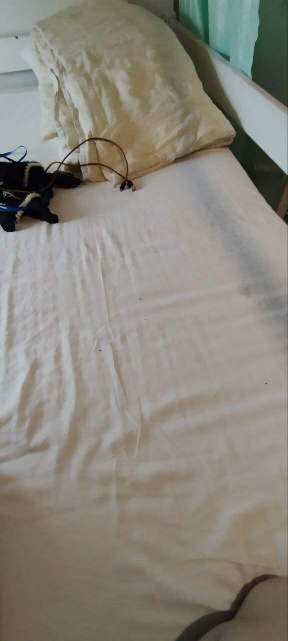 Фото Пастернак