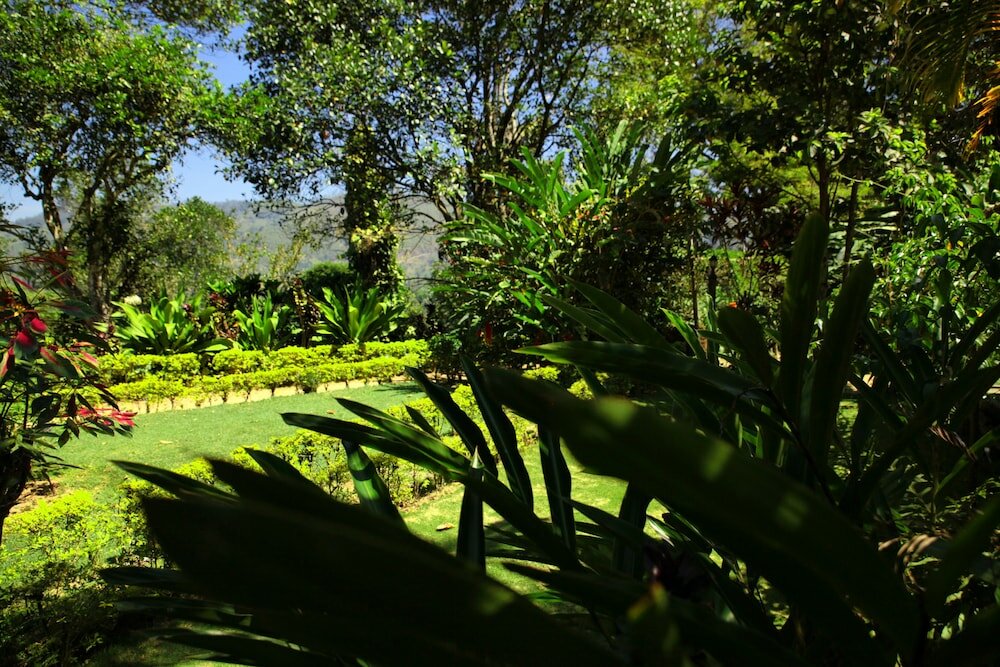 Фото Sunnyside Holiday Bungalow