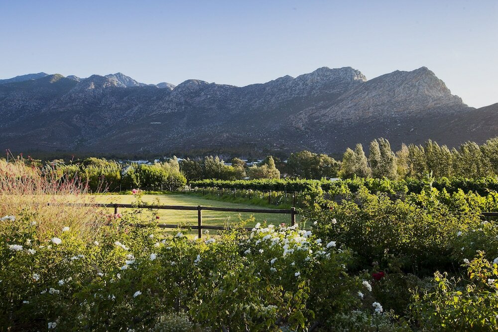 Фото Klein Nektar Manor