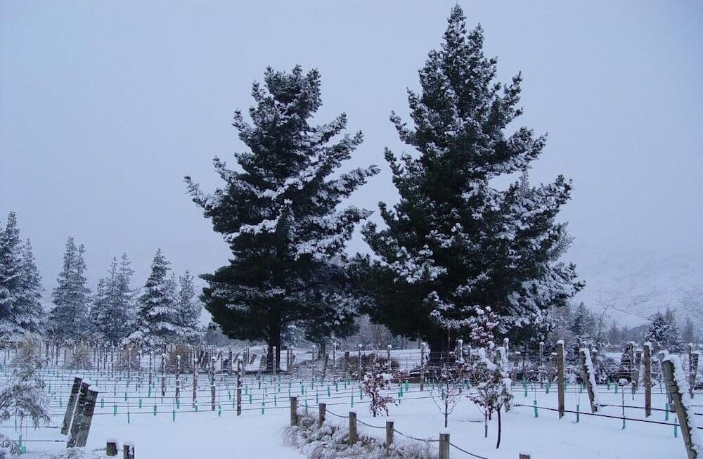 Фото River Rock Estate