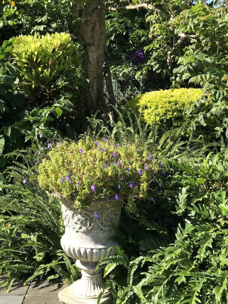 Фото Edens Guest House