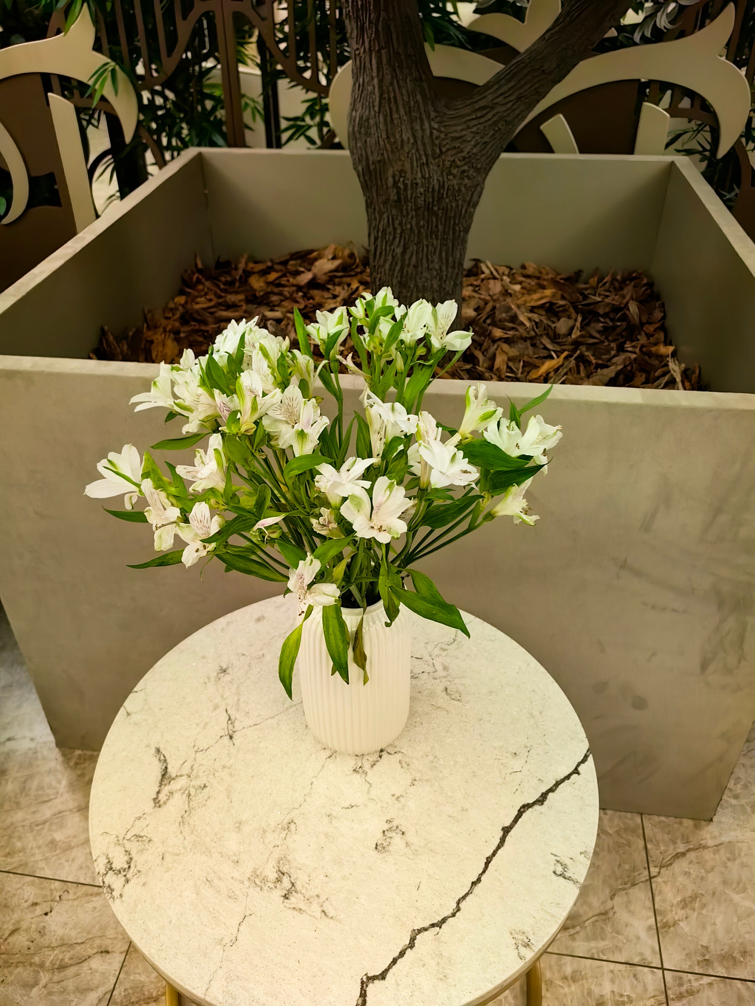 Фото Minger Med SPA