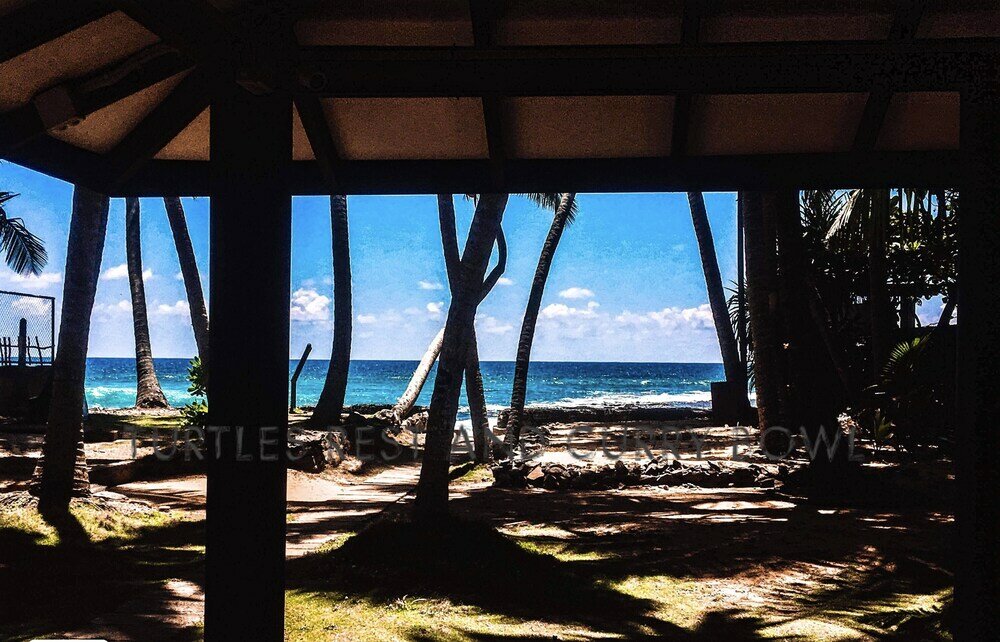 Фото Curry Bowl Restaurant & Turtles Rest