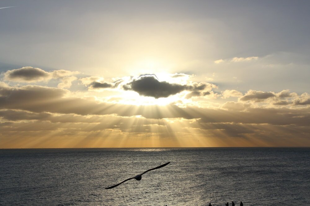 Фото Drakes of Brighton