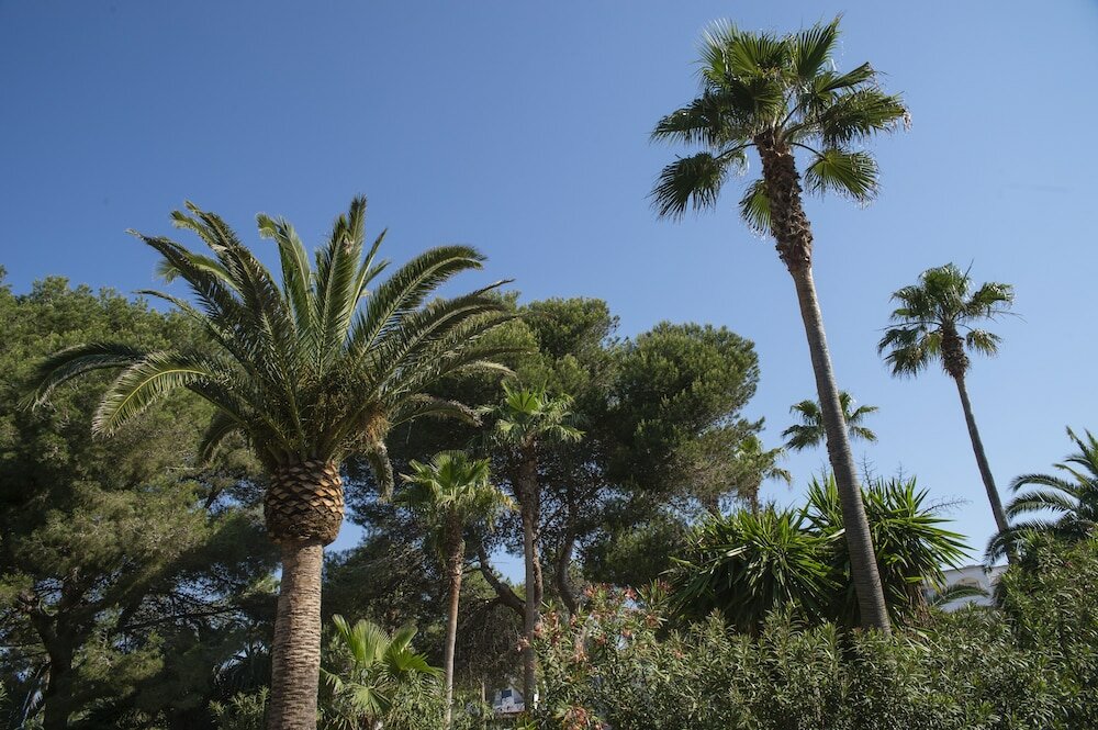 Фото Aparhotel Pierre & Vacances Mallorca Cecilia