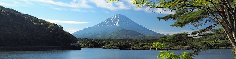 Фото Shoji Lake Hotel