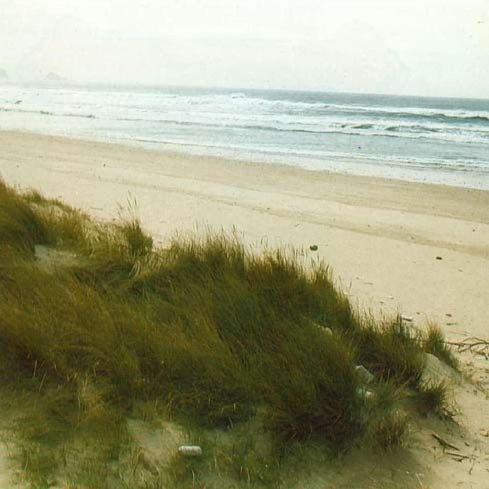 Фото La Plaza II